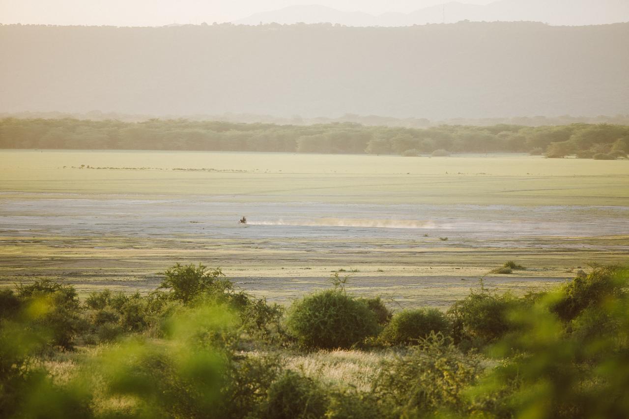 Manyara Wildlife Safari Camp Villa Zanzibar Екстериор снимка